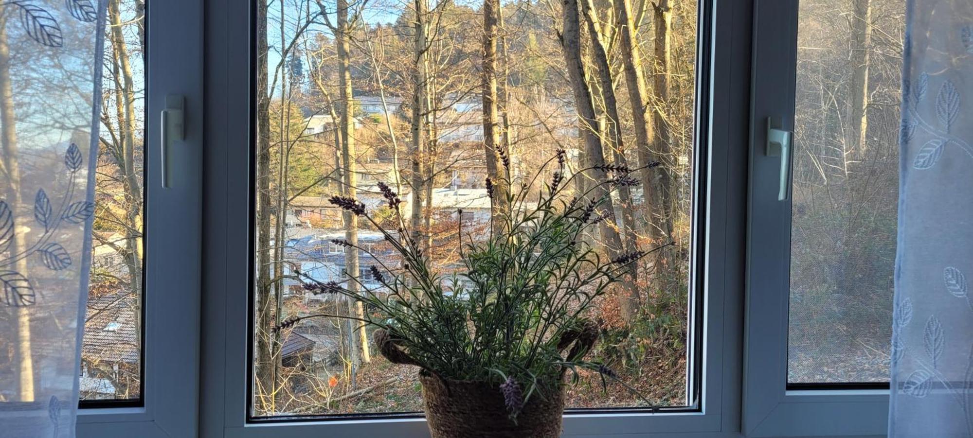 Apartmán Am Wald Waldkirch Exteriér fotografie
